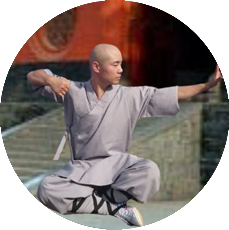Meister Shi Yan Yao